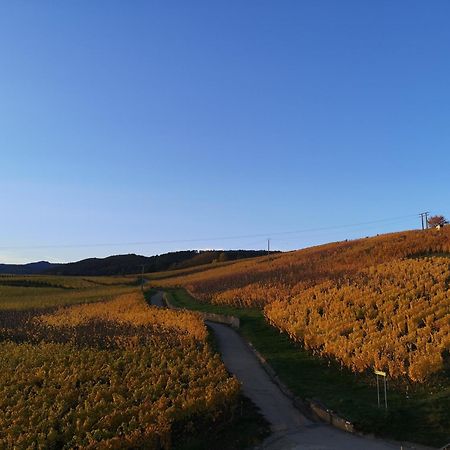 Cocon De Caractere Au Coeur Des Vignes Alsaciennes Leilighet Bergheim Eksteriør bilde