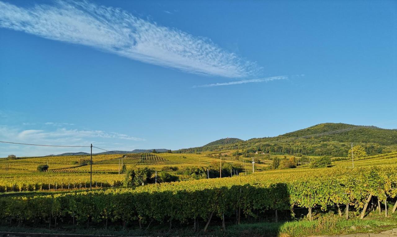 Cocon De Caractere Au Coeur Des Vignes Alsaciennes Leilighet Bergheim Eksteriør bilde