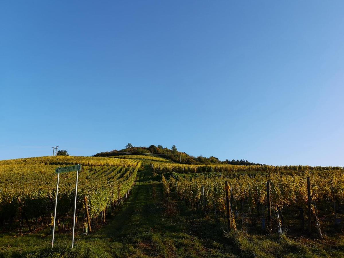 Cocon De Caractere Au Coeur Des Vignes Alsaciennes Leilighet Bergheim Eksteriør bilde