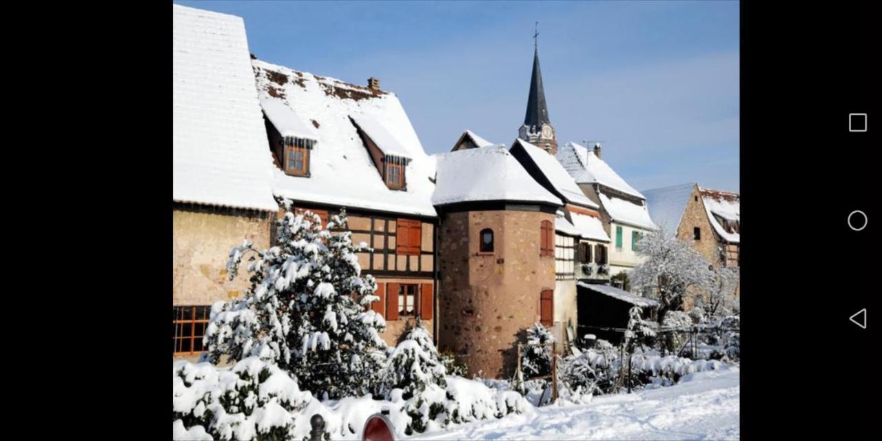 Cocon De Caractere Au Coeur Des Vignes Alsaciennes Leilighet Bergheim Eksteriør bilde