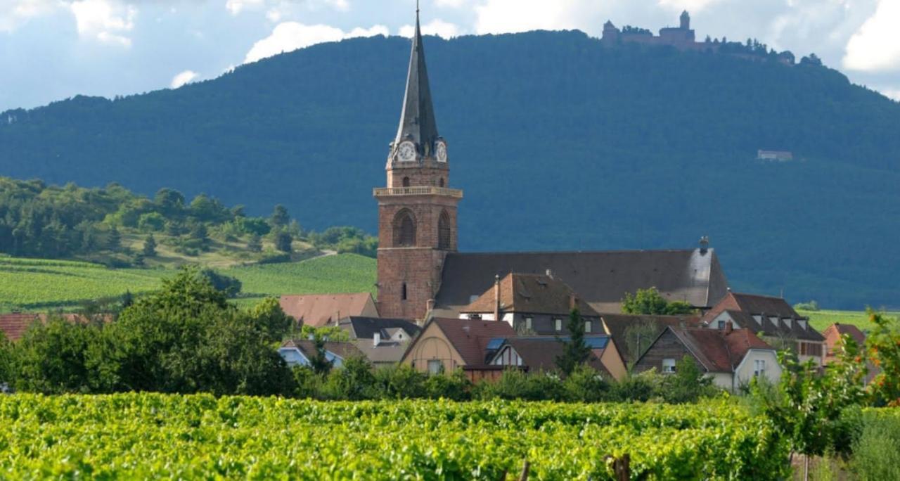 Cocon De Caractere Au Coeur Des Vignes Alsaciennes Leilighet Bergheim Eksteriør bilde
