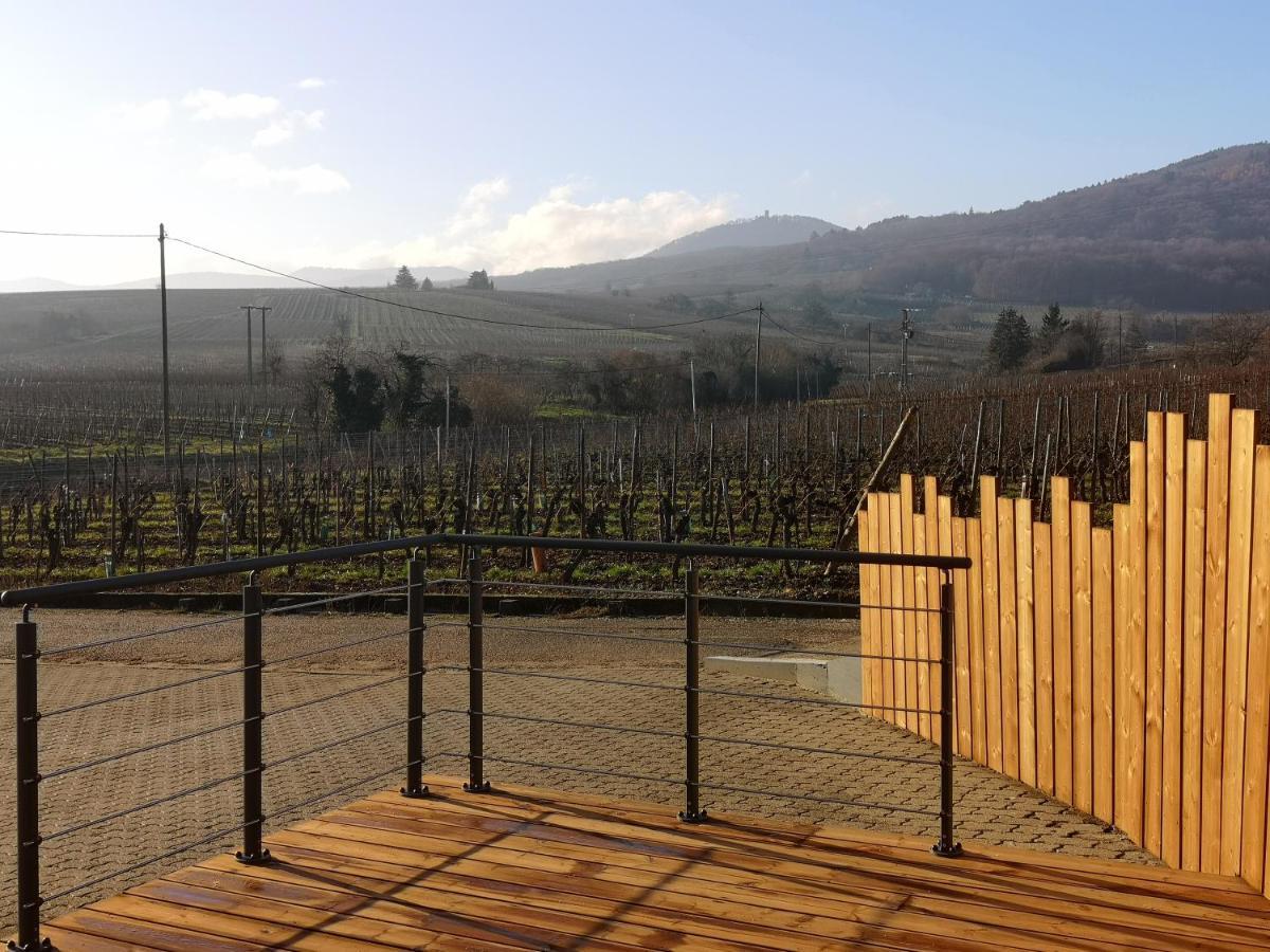 Cocon De Caractere Au Coeur Des Vignes Alsaciennes Leilighet Bergheim Eksteriør bilde