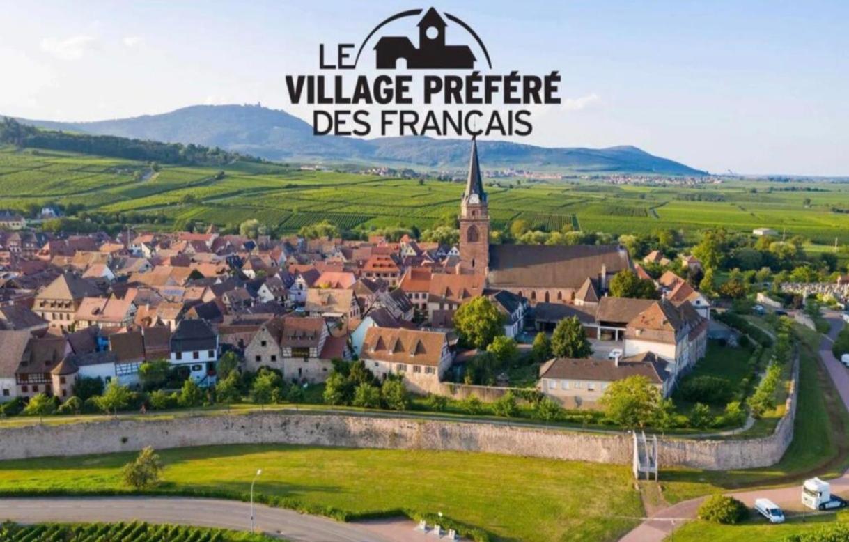 Cocon De Caractere Au Coeur Des Vignes Alsaciennes Leilighet Bergheim Eksteriør bilde